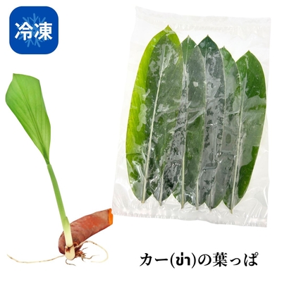 【冷凍】カーの葉っぱ