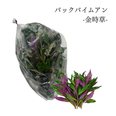 タイ野菜　パックバイムアン　1袋（約250g）