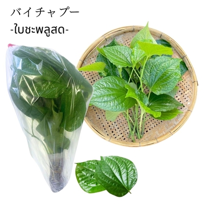 バイチャプー（タイ野菜）1袋（約100g）ใบชะพลูสด