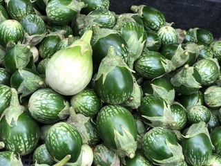 タイ茄子 ／ Thai Eggplant 1kg | タイ貿易倉庫UD