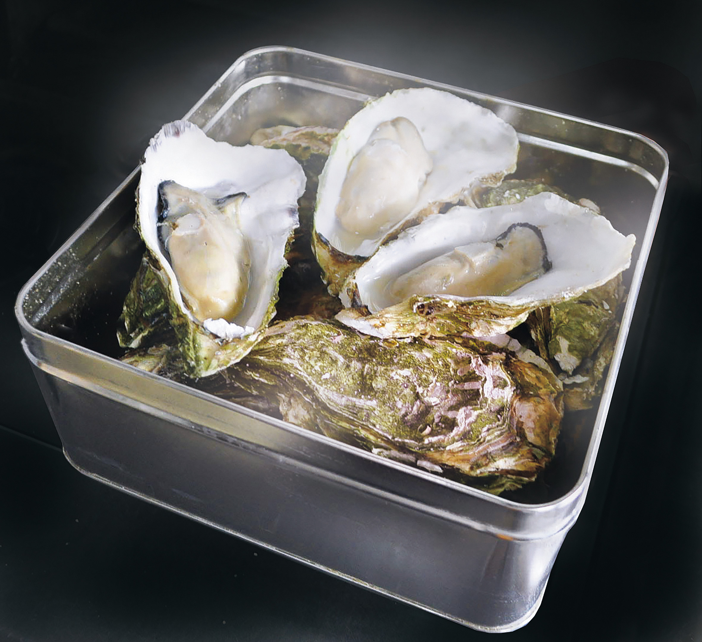 鎌田水産 赤崎産牡蠣のカンカン焼 岩手県産ネットショップ