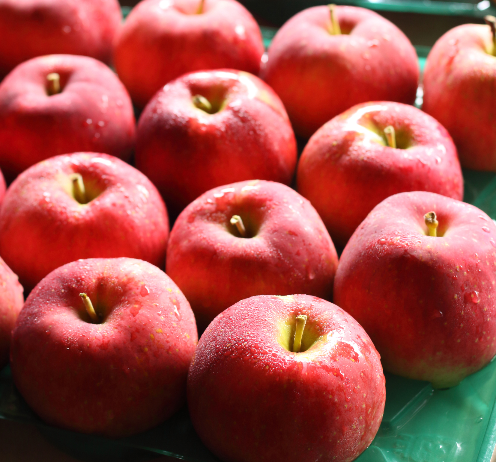 今季の販売は終了となりました※江刺産 菅野農園 セレクトりんご