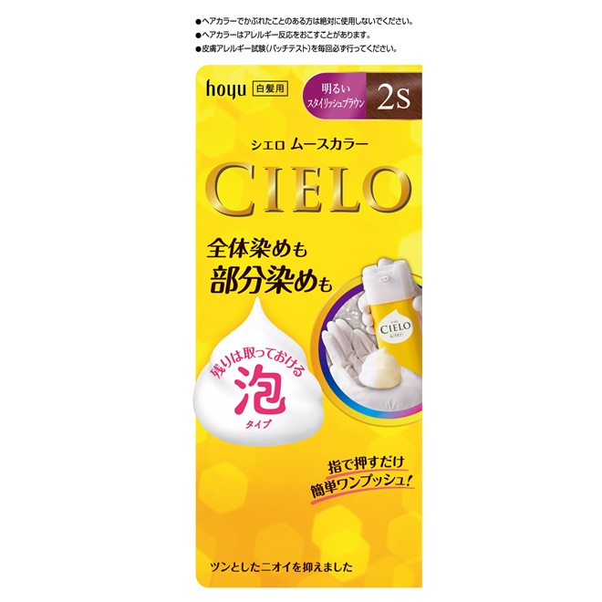 シラガR9スタイリングカラームース2本セット 白髪カバー シラガレスキュー スタイリングカラームース ブラック 160