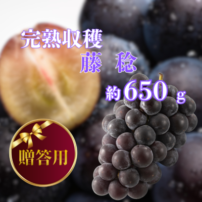 早割20%OFF　藤稔650g(ご贈答用)