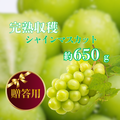 早割20%OFF シャイン650g(ご贈答用)