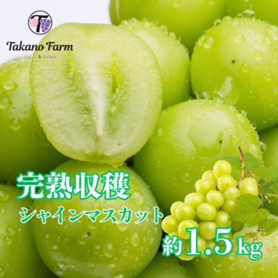 早割20%OFF シャイン 1.5kg