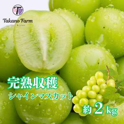早割20%OFF シャイン2kg