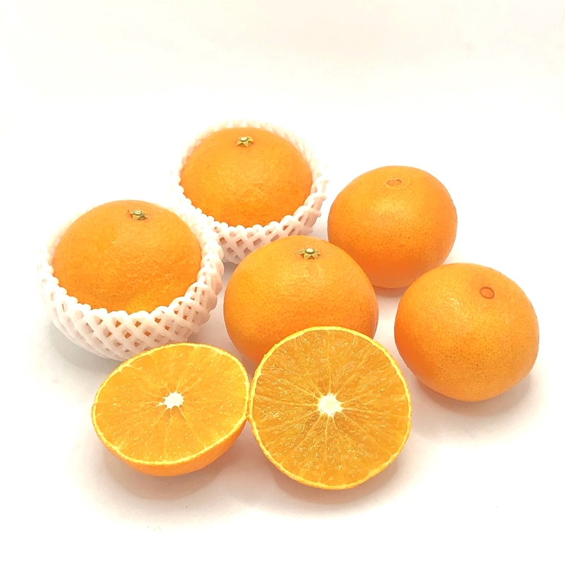 【12月中旬～】まどんな(愛果28号) 3 L～L玉  秀品 (贈答用)  2.5kg (10～12個)