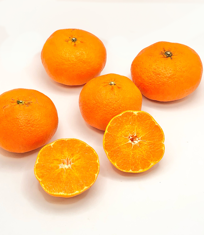 【愛媛県産】甘平2.5kg L～M玉(12～15個) 贈答用 露地もの