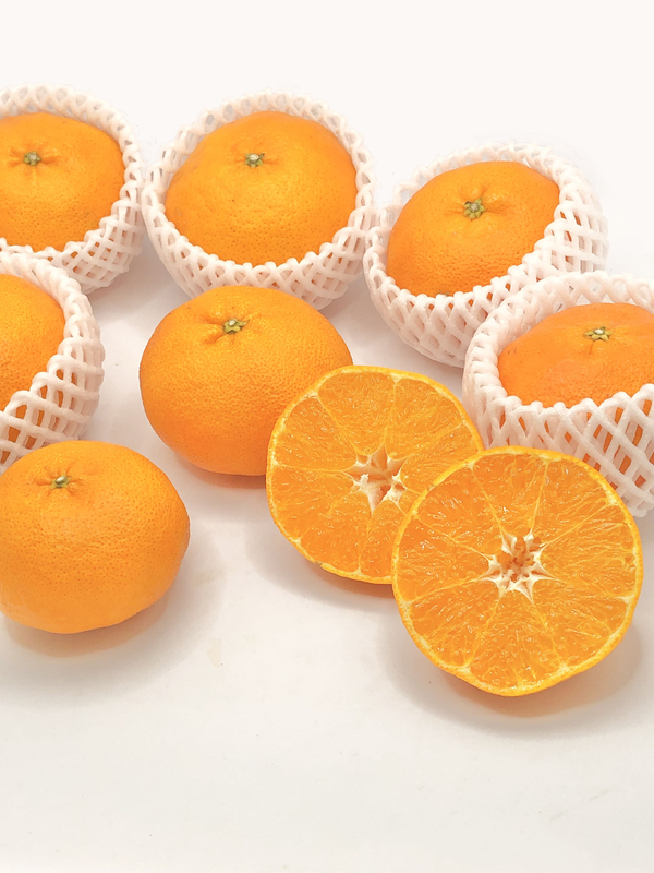 【愛媛県産・送料無料】甘平2.5kg 2L～M玉(8～12個) 贈答用 露地もの