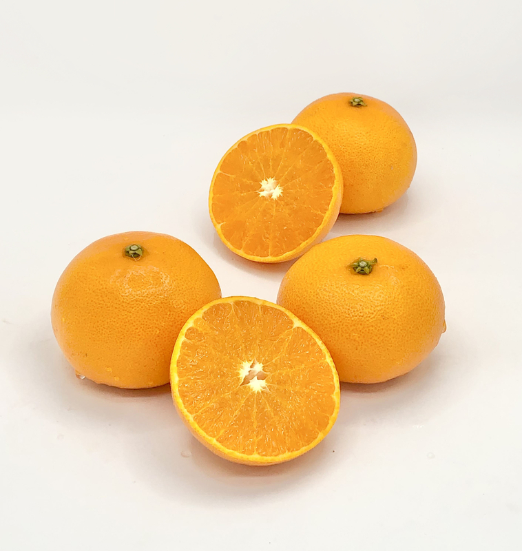 【愛媛県産・送料無料】露地栽培 完熟せとか  2.5kg  2L～M玉(10～13個) 贈答用