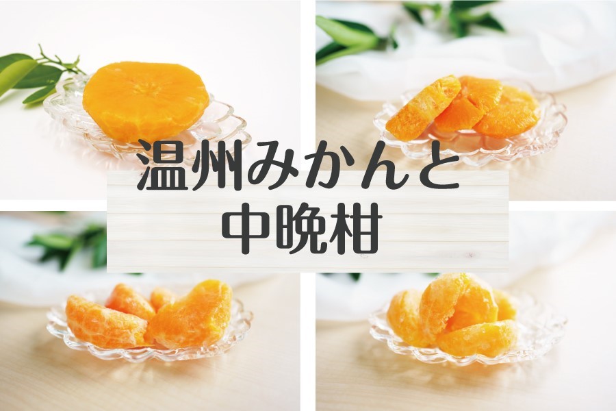 えひめ柑橘プラスシトラソオンラインストア 温州みかんと中晩柑3種セット 愛媛から冷凍みかんをお届け えひめ柑橘プラス シトラソ オンラインストア