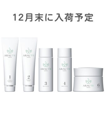 基本4点＋お助けパック