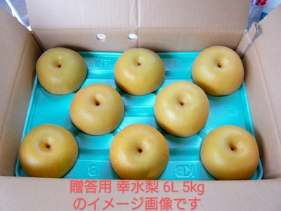 green　幸水梨 釜井果樹園｜【幸水10kg】贈答用梨（秀）｜栃木宇都宮の梨
