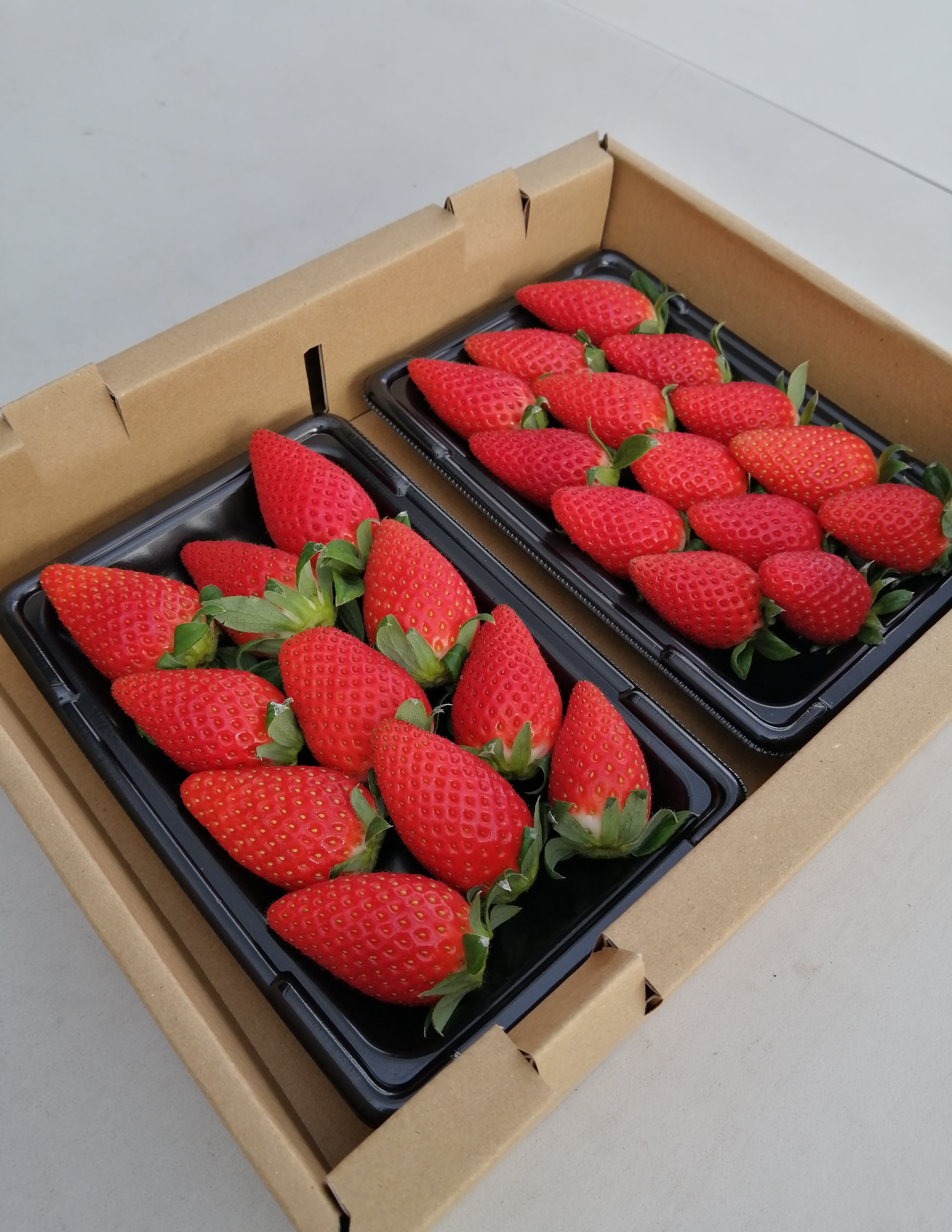 いちご ☆三重県産 いちあま苺 2パック みえの森苺園 【送料込み】 | みえの森