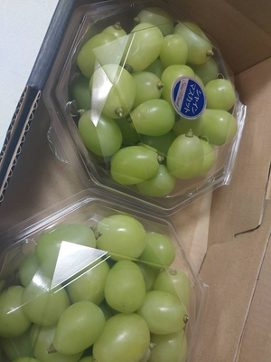 シャインマスカット【粒出荷】