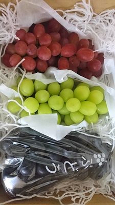 ぶどう詰め合わせ