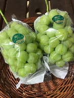 瀬戸ジャイアンツ　2房入り　（約1.5㎏）
