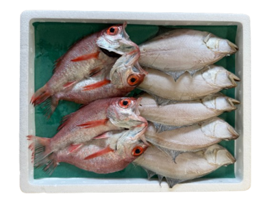 【森井商店】干物おすすめセット(冷凍)