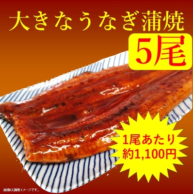 【大きなうなぎ蒲焼 約250g 5尾】無頭背開き 中国産うなぎ使用