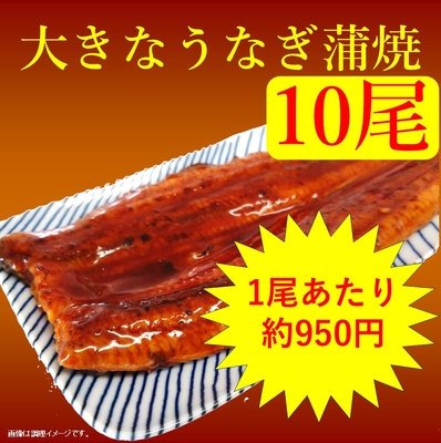 【大きなうなぎ蒲焼 約250g 10尾】無頭背開き 中国産うなぎ使用