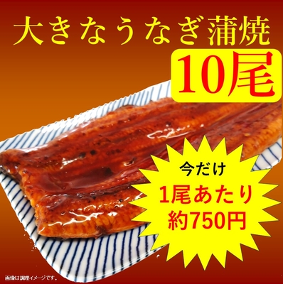 【大きなうなぎ蒲焼 約250g 10尾】無頭背開き 中国産うなぎ使用