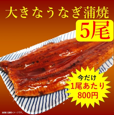 【大きなうなぎ蒲焼 約250g 5尾】無頭背開き 中国産うなぎ使用