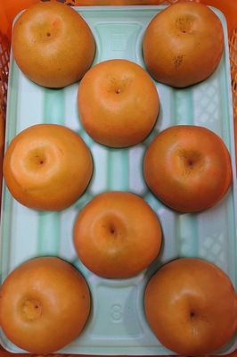 新高 5kg箱 6~9玉入り