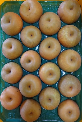 幸水 　５ｋｇ箱　１８玉入（L) 