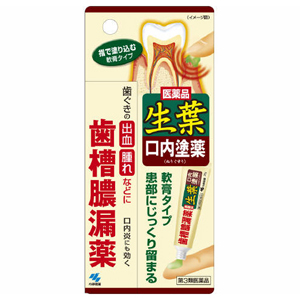 生葉口内塗薬 ２０ｇ 第3類医薬品 口の薬 歯茎の腫れ 歯周病 歯槽膿漏 歯肉炎 はな薬局オンラインストア
