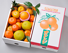 みかんMIX(5Kg)