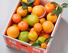 みかんMIX(10Kg)
