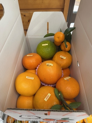 みかんMIX(3Kg)