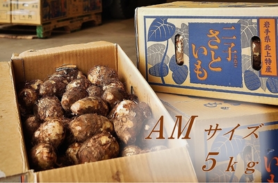二子さといも　ＡＭサイズ　５ｋｇ