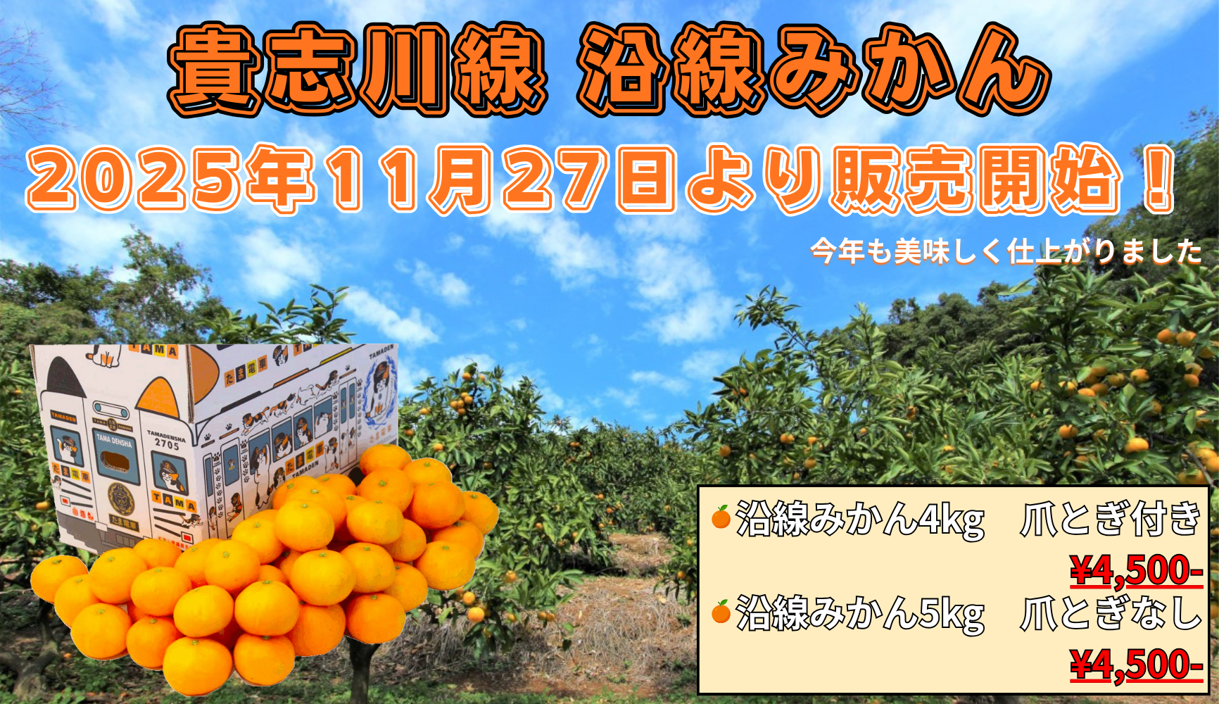 今年も沿線みかんを発売します!!