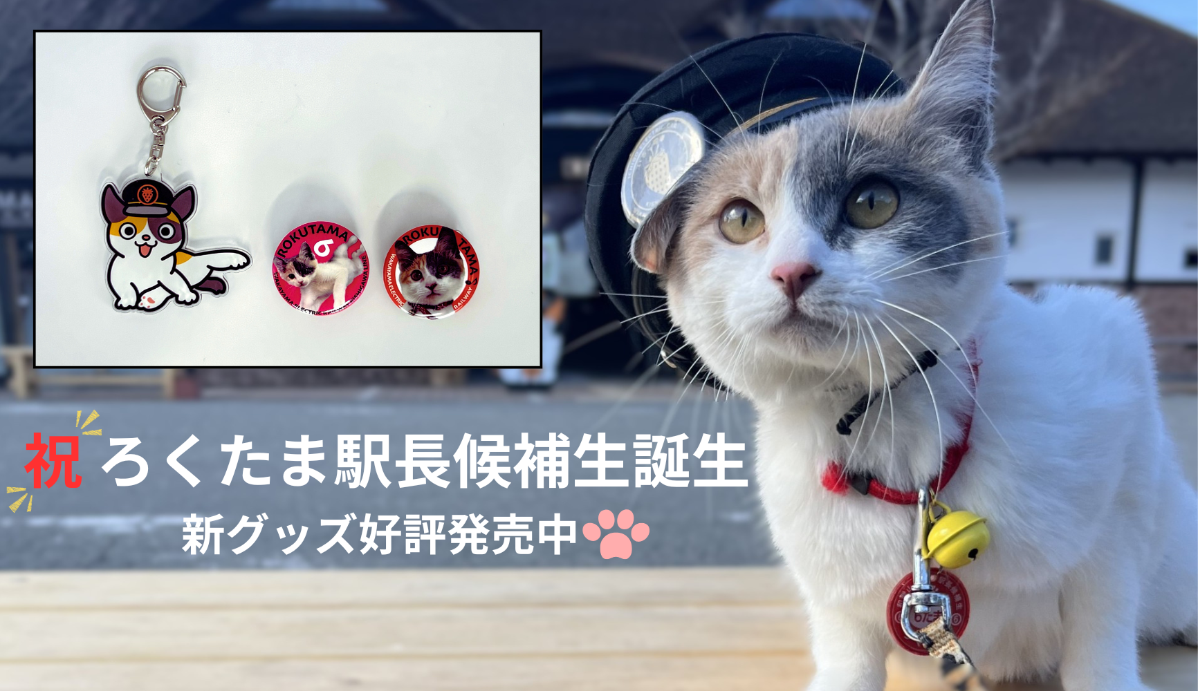 ろくたまグッズ好評発売中!