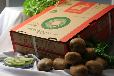 キウイフルーツ　3.6kg、約20-27玉入り【送料無料】