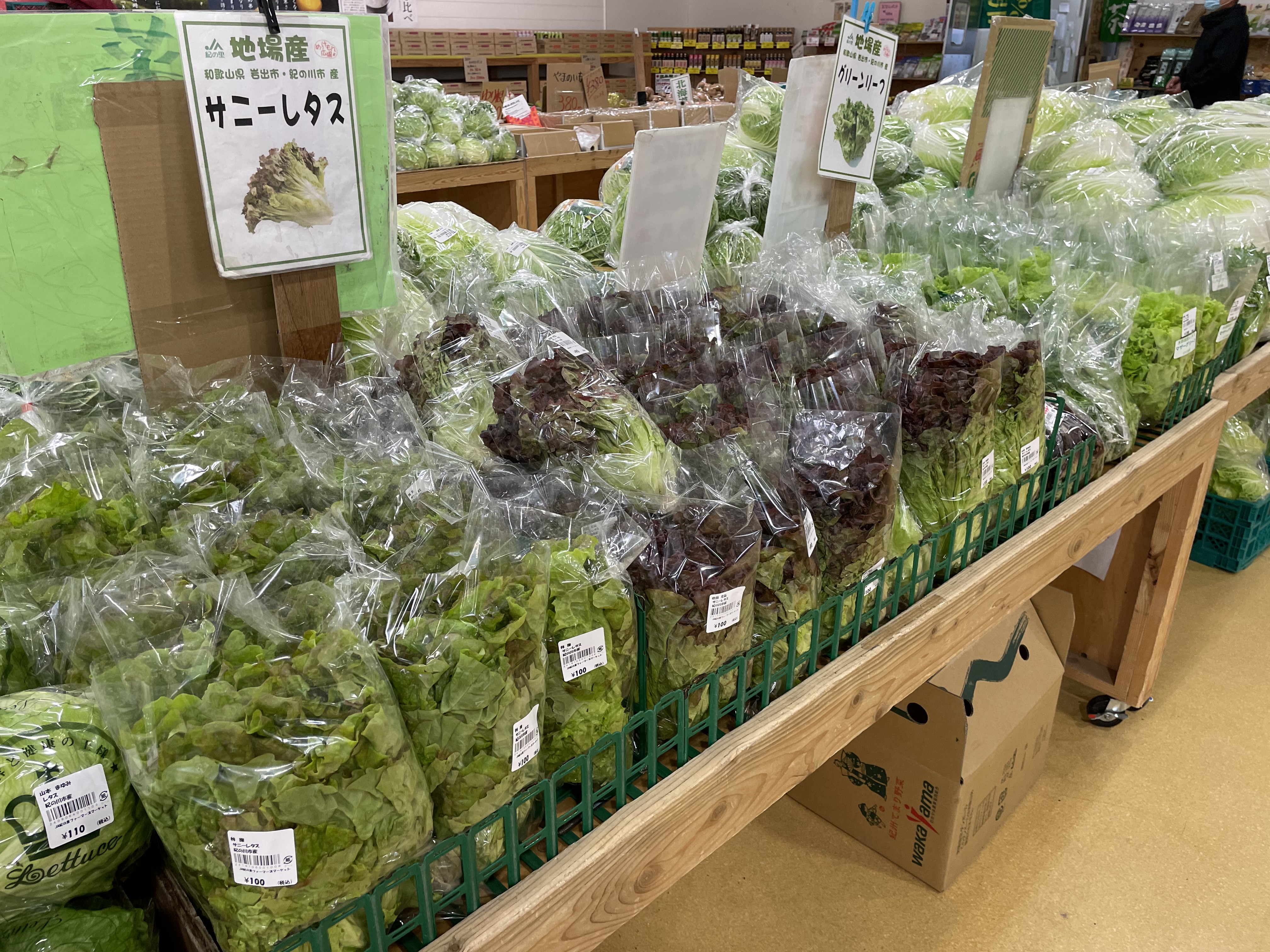 市場 送料別 福岡県産 約300g サニーレタス 野菜詰め合わせセットと同梱で送料無料 1パック