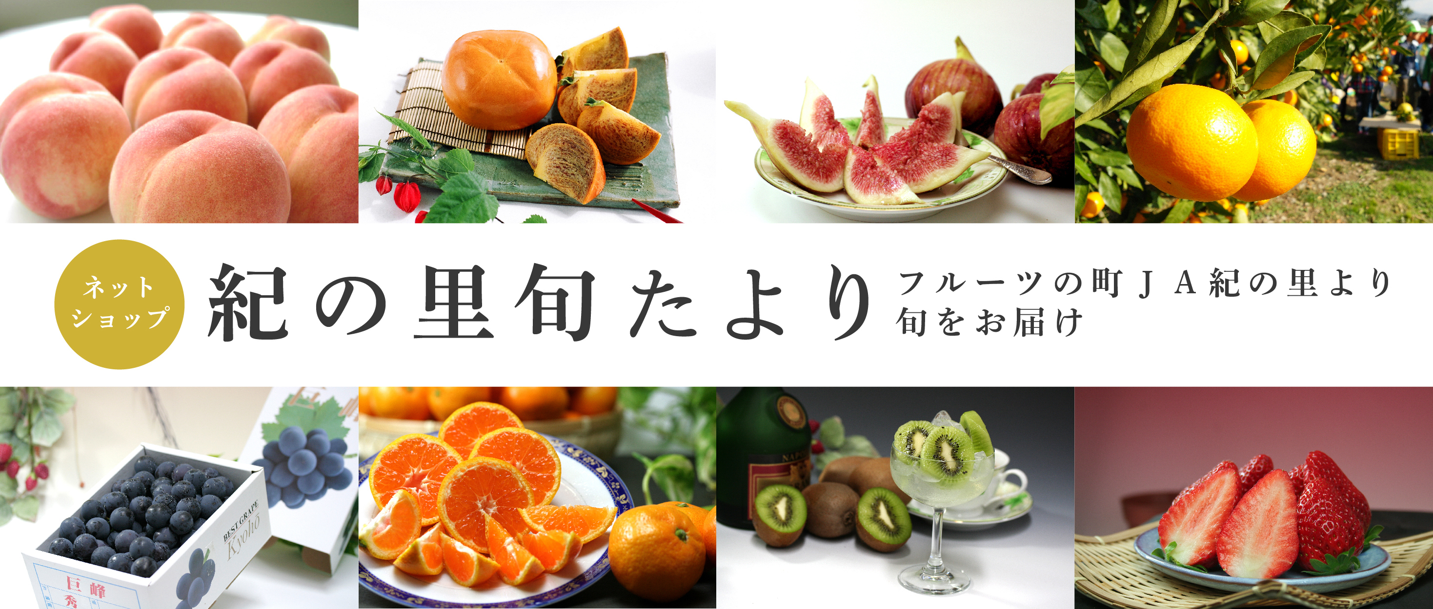 ばーちゃるめっ家（け）｜めっけもん広場の通販サイト