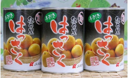 はっさく缶詰 1缶 240g 送料区分【1】 | めっけもん広場通販サイト