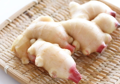 【和歌山県産】新しょうが　500ｇ　送料区分【1】
