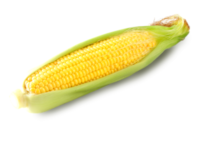 とうもろこし　1本　200g　送料区分【1】