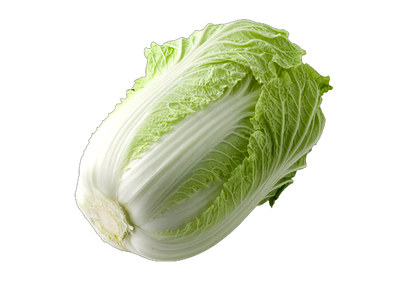 白菜 1玉（約1.5 kg）送料区分【3】 | めっけもん広場通販サイト