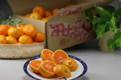 【順次発送】めっけのみかん箱　S～L（約5 ㎏）【送料無料】