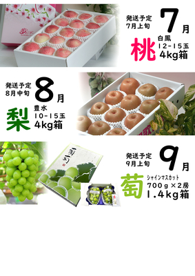 【職員専用】【全額前払い】７月よりスタート！フルーツ定期便3ヶ月コース