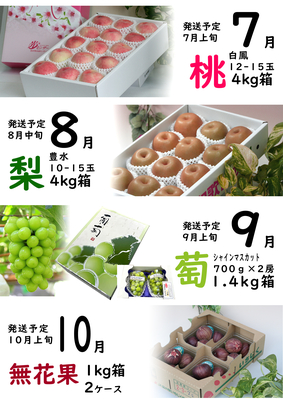 【職員専用】【全額前払い】７月よりスタート！フルーツ定期便６ヶ月コース
