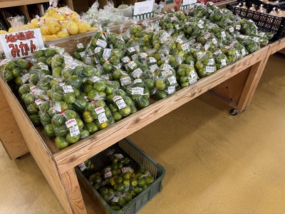 あおぎり　みかん（袋）　800g　　送料区分【1】