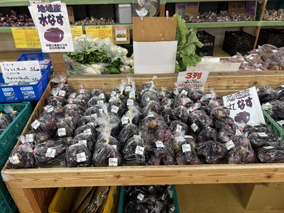 水茄子　1袋　2本　250ｇ　送料区分【1】