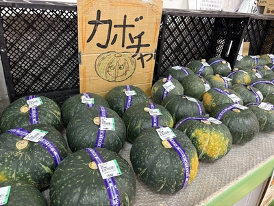 南瓜　1玉　送料区分【2】
