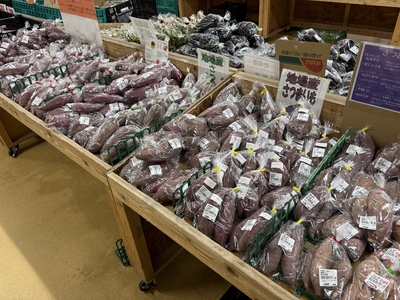 さつまいも　1～2本　400ｇ　送料区分【2】